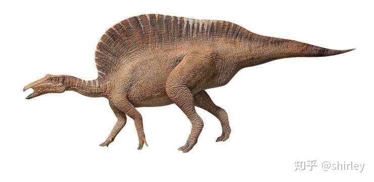第一种恐龙叫什么名字图片
