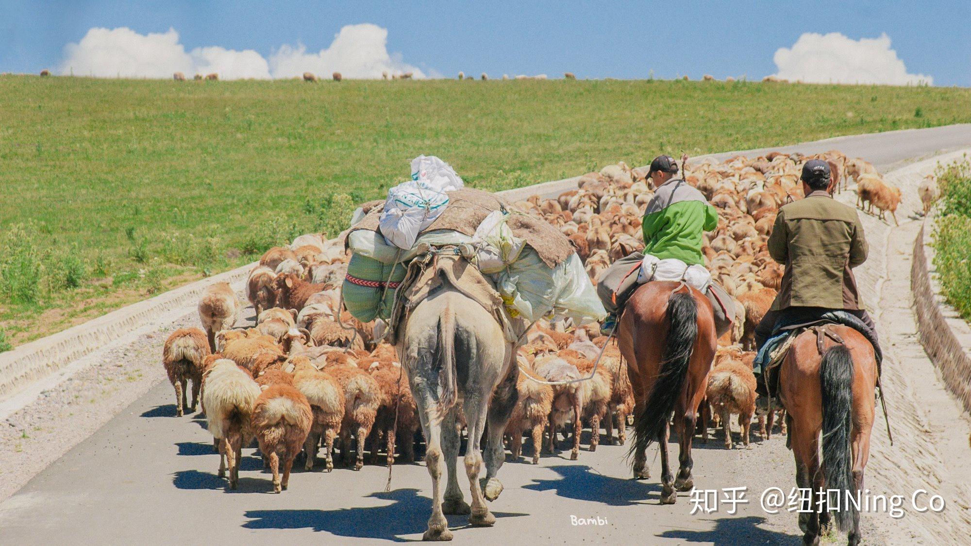 2,《牧羊少年奇幻之旅》——馬克圖布,追夢的勇氣.