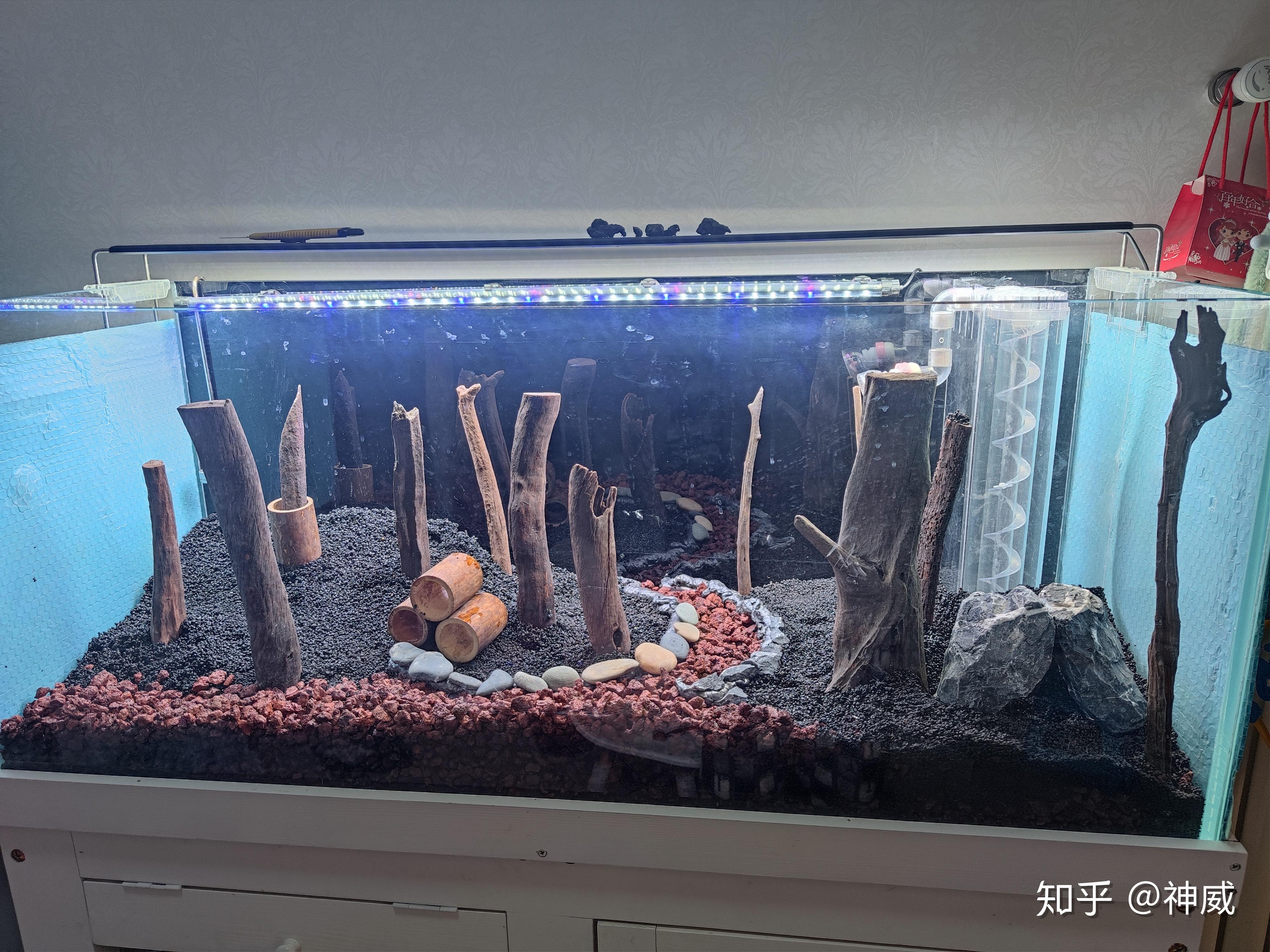 从裸岗到布景详细教程,底滤草缸造景. - 知乎