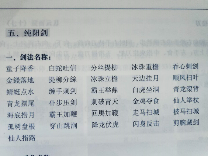 提剑风雷动:击剑和中国剑的刺击