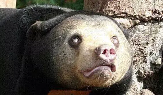 史上最好的沙巴小众旅行攻略，没有之一。