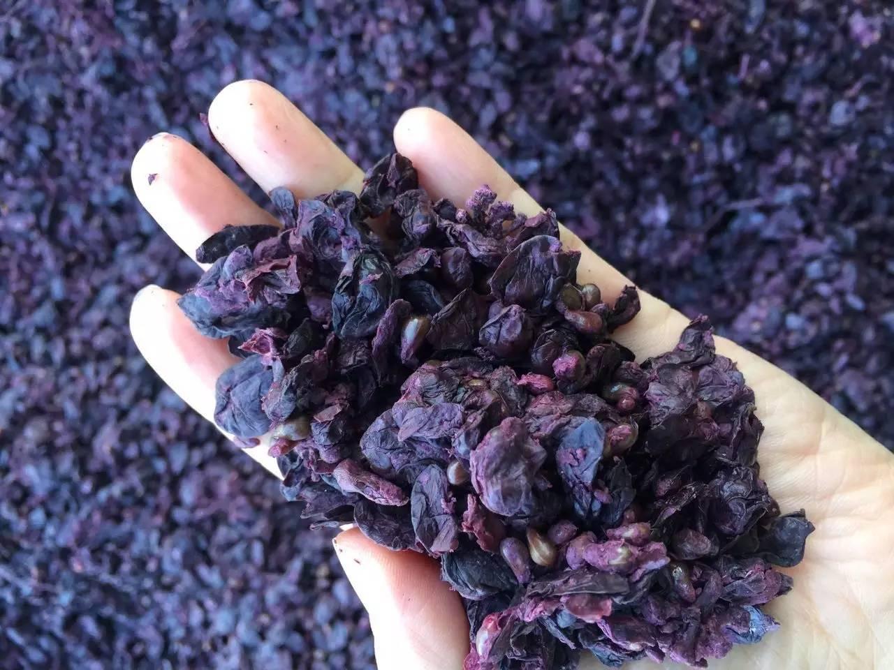 请你先干为敬这把富含营养物质的皮籽渣