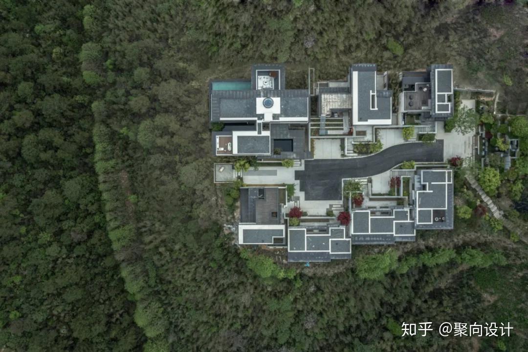 吴滨:摩登东方创导者 - 知乎
