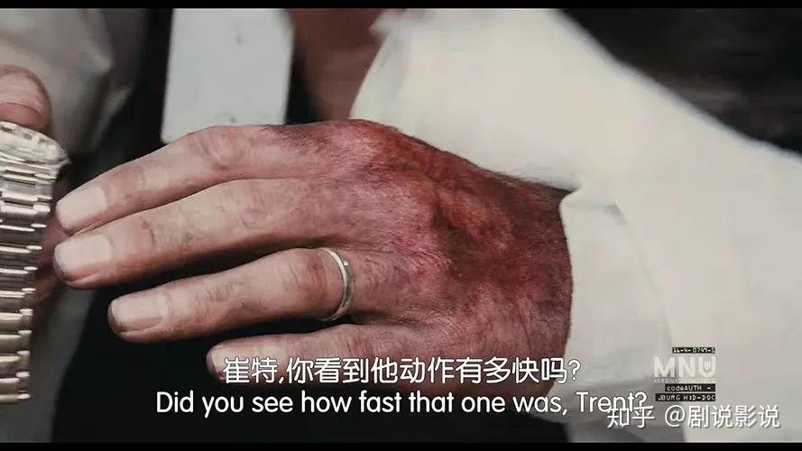 第九区——废墟上的金属玫瑰