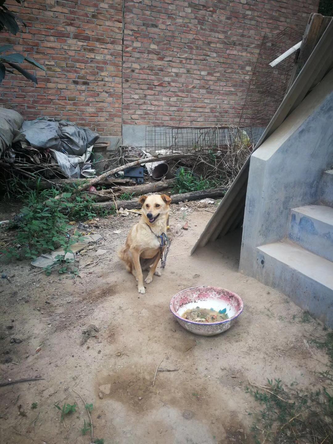 乔丹和詹姆斯身体素质谁更好?