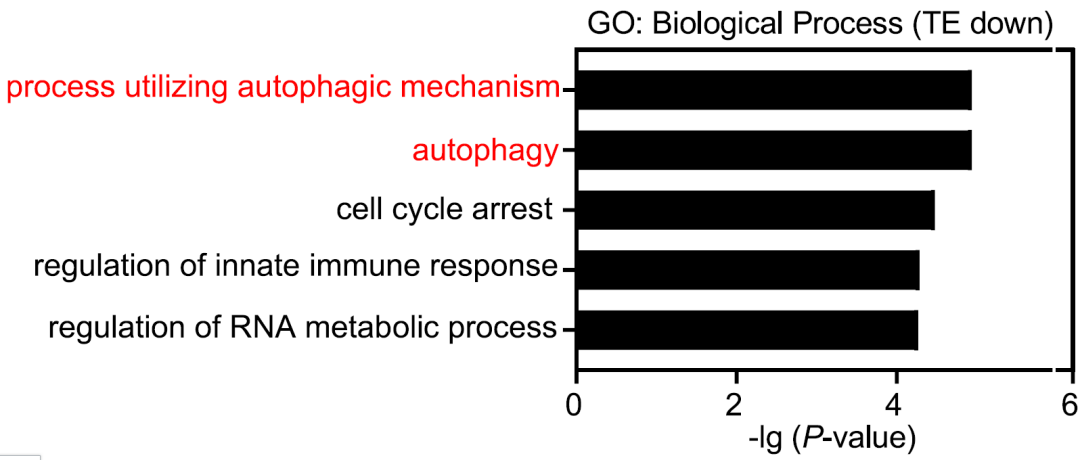 Polysome-seq翻译组测序，评估翻译效率的“黄金标准” - 知乎