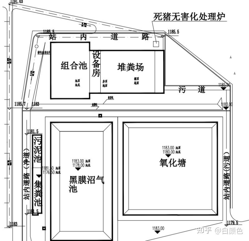 後非瘟時代的豬場規劃設計