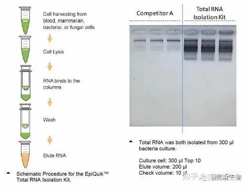 收藏:RNA提取原理与详细步骤及常见问题 - 知乎