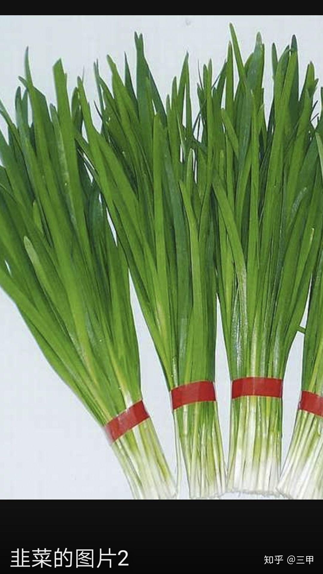 太子府乐隙献言黔首愚昧,未尝闻燕参之国本也,而偏爱秦草之末也