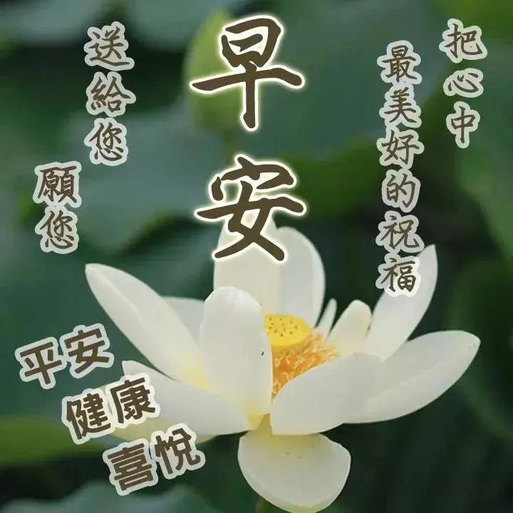 早安图片2021年最新版图片