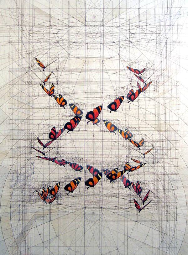 当数学爱上艺术rafaelaraujo艺术家的手绘本