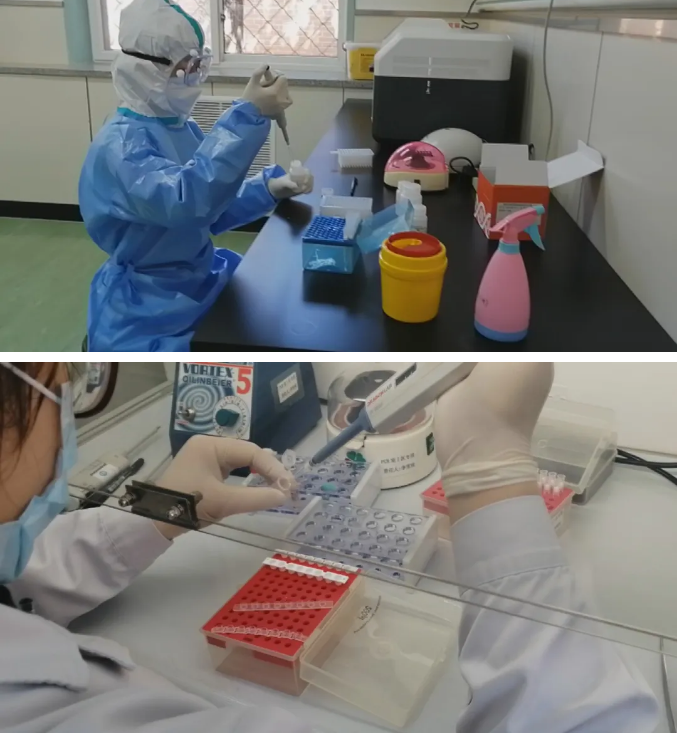 大使馆新规出台回国需提供双阴性检测新的新冠血清测试到底要怎么做