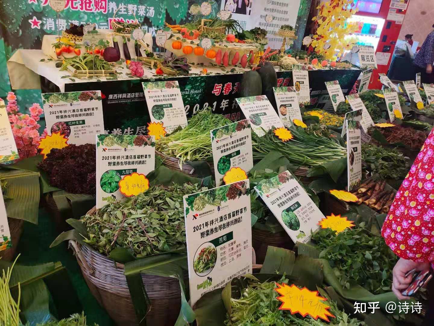 祥兴酒店活力世界微信小程序商城举行野菜节开幕式返璞归真尝遍野菜