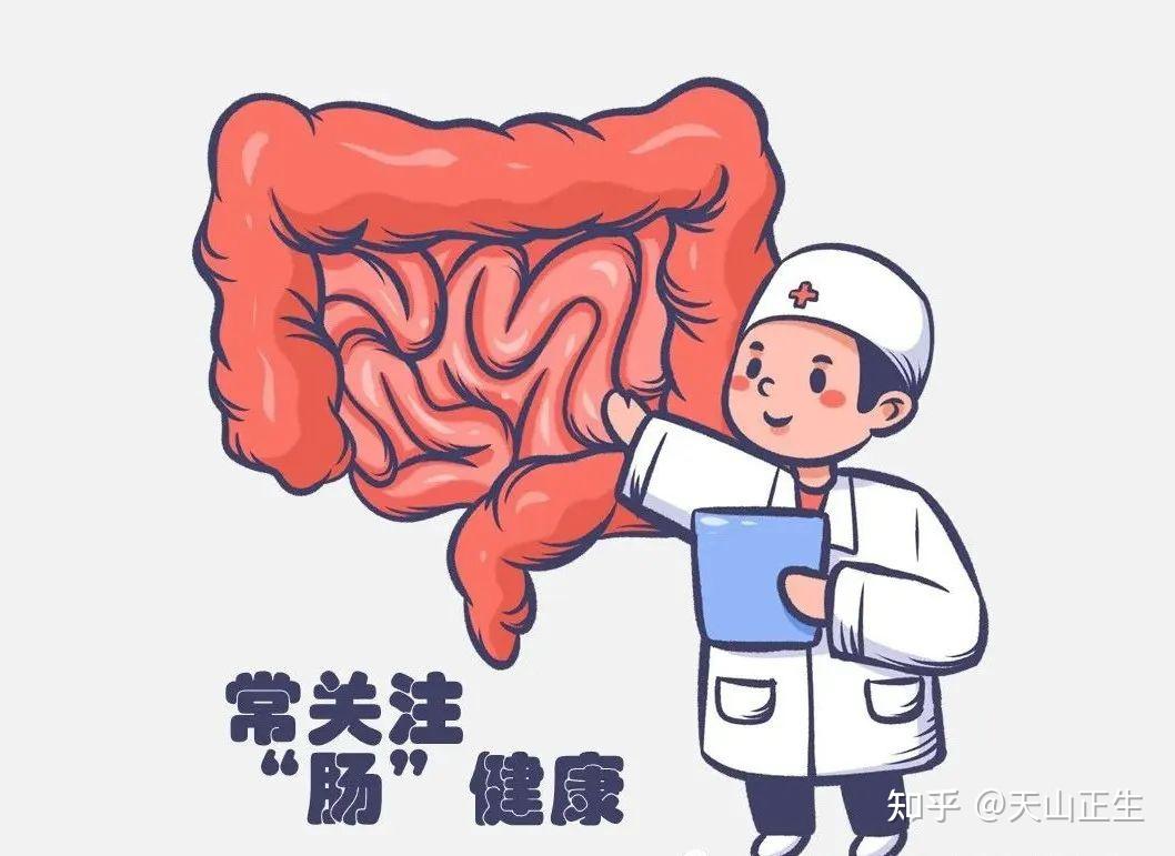 世界肠道健康日|益生菌守护肠健康_生合生物科技（扬州）有限公司