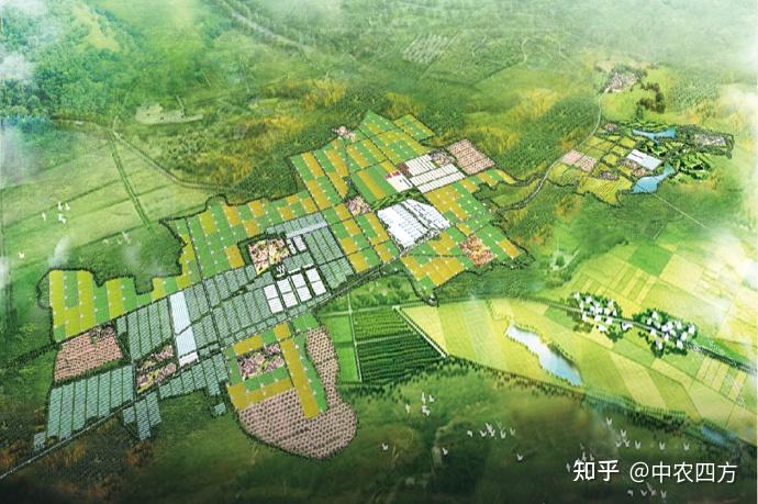 具体村庄乡村振兴规划的14个设计要点 - 知乎