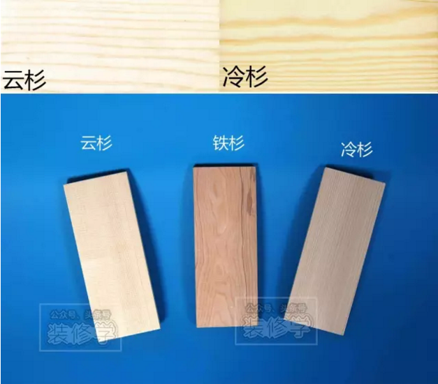 你了解松木和杉木吗?种类多得超乎想象。 - 知乎