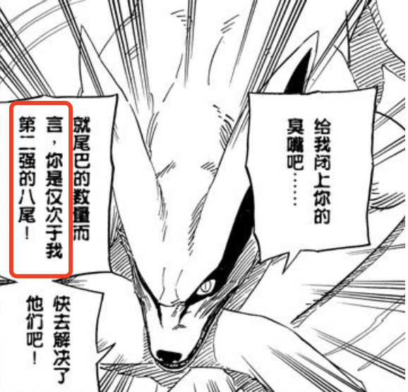 三代雷影&野生八尾