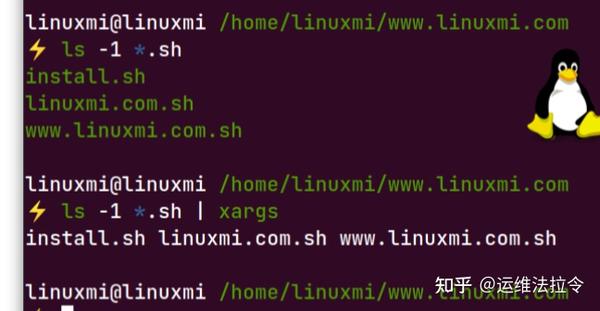 掌握 Linux 命令行的 10 个高级 Shell 脚本命令 知乎