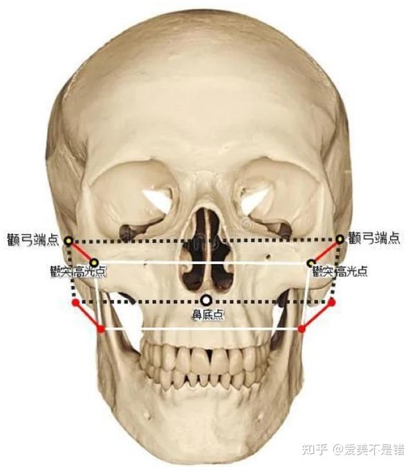 何晋龙解读:简单易懂的判断颧骨高还是颧弓宽的方法? - 知乎