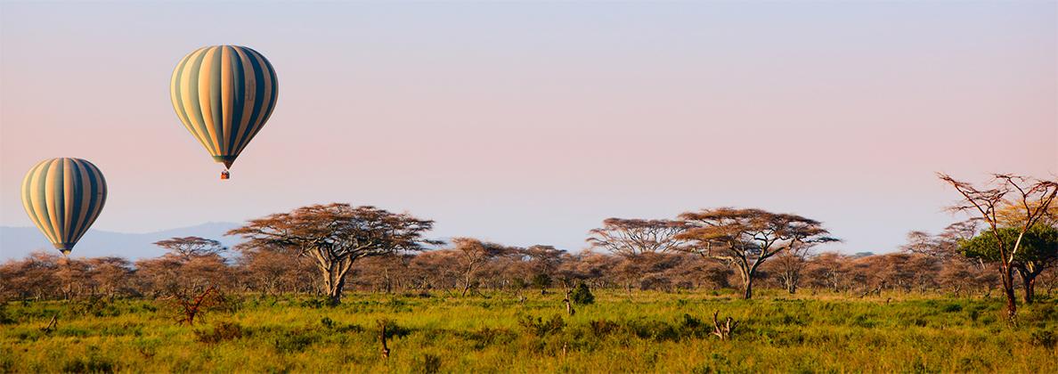 办1张肯尼亚签证去非洲大草原看10万动物大迁徙是一种什么样的奢华