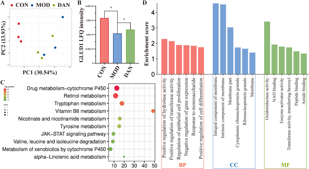 JEP(IF=5.4)|福建中医药大学研究团队：多组学揭秘丹瓜方调控GLUD1改善糖尿病代谢机制 - 知乎