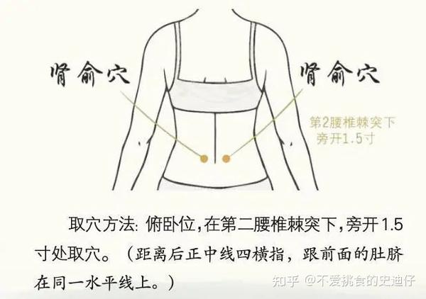 立冬|立冬赶紧补虚损，这样做让冬天的肾更健康！ - 知乎