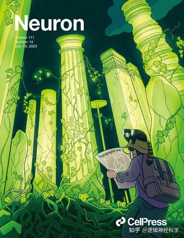 Neuron︱收藏！2023年期刊封面文章汇总 - 知乎