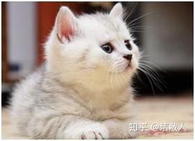 v2-81cd6c64bd28c90c10cb65176acc90be_b.jpg