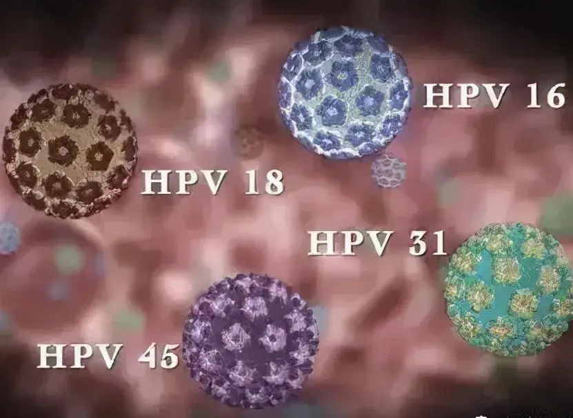 警醒男性同样易感染hpv患癌风险不容忽视这些知识你必须知道