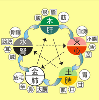 養生之五行對應五臟,你瞭解麼?