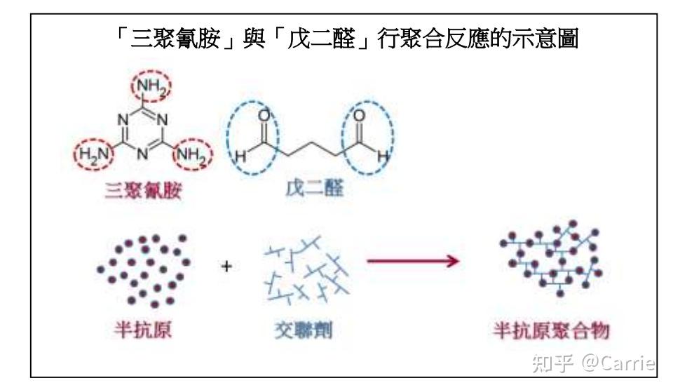 戊二醛交联法图片