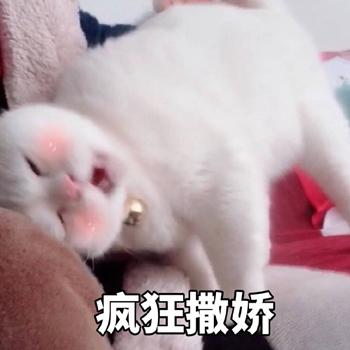 女生撒娇专用表情包,速速收藏! - 知乎