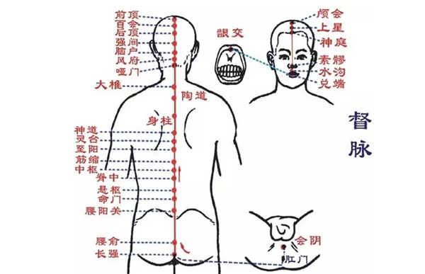 任脉、督脉、冲脉、带脉,四脉精准解析!一看就懂了 - 知乎