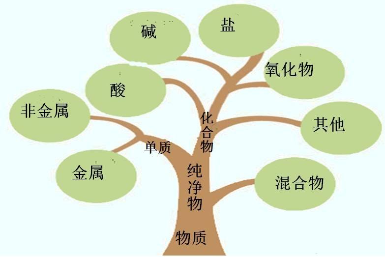 树状分类法图片