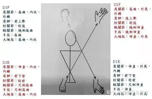 PNF技术疗法,专业手法演示,值得收藏 - 知乎