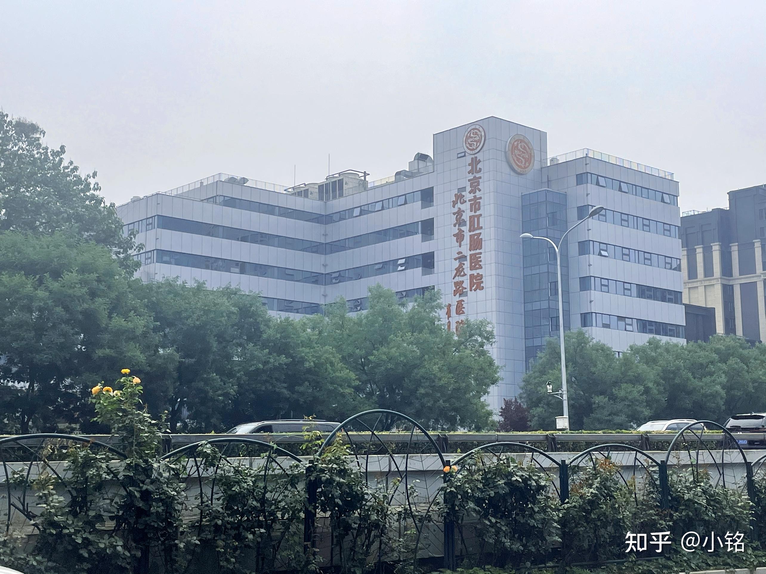 包含二龙路肛肠医院"医院黄牛挂号助理",的词条