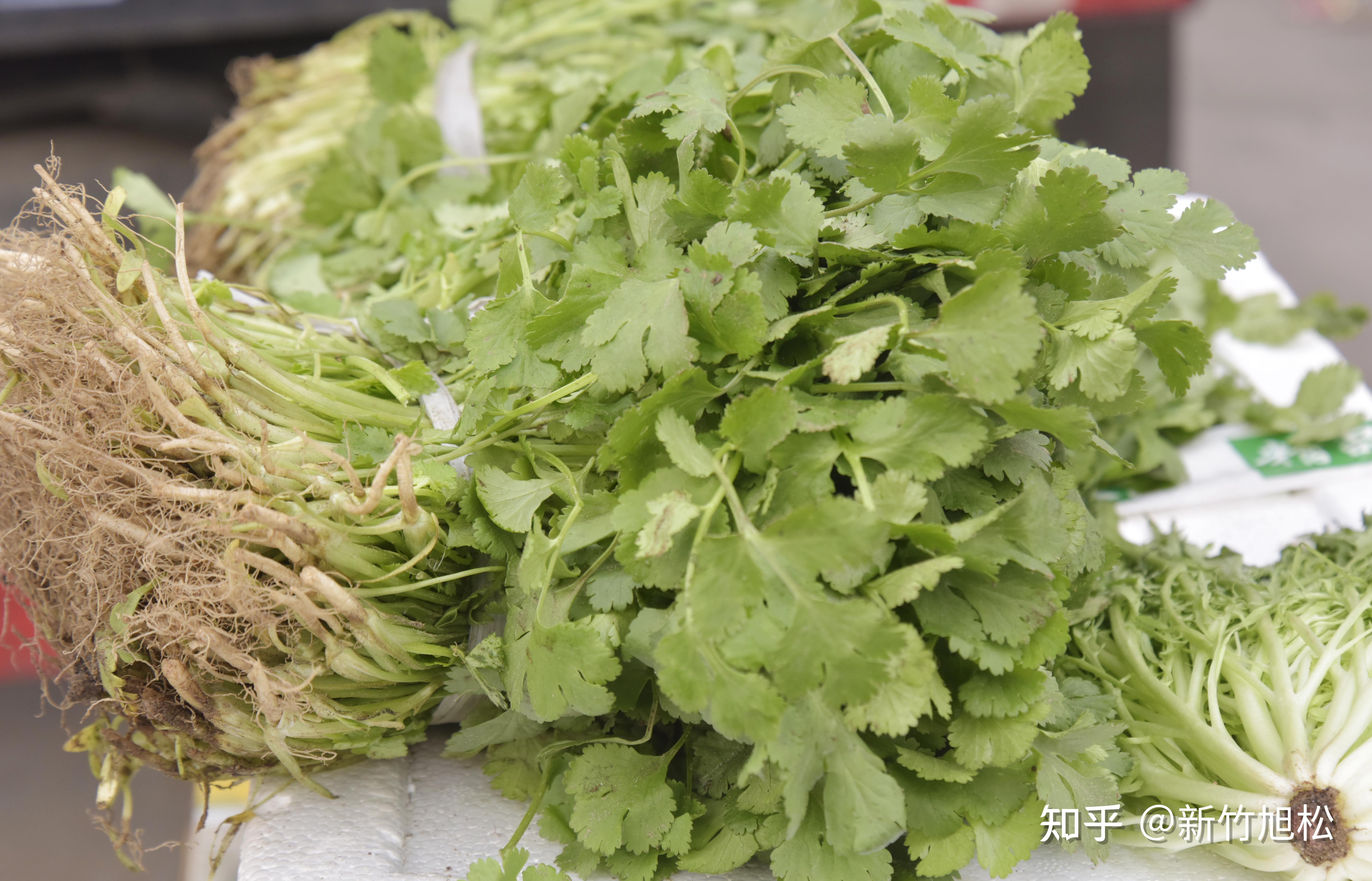 绿叶子的菜 v2-821346a1c820570bbf823218221d818a_r.jpg