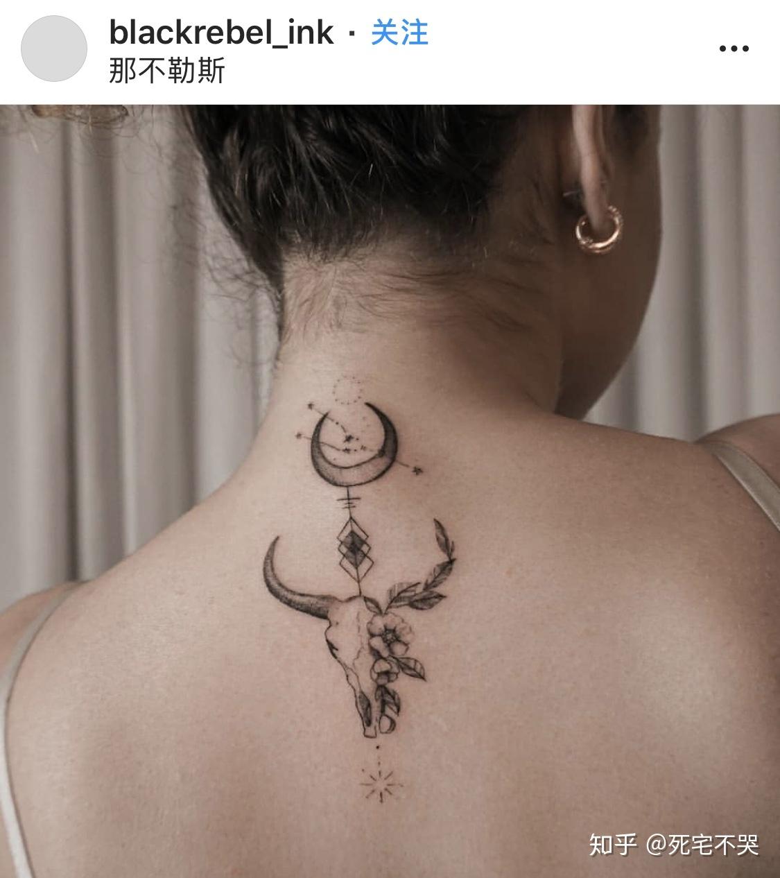 星座专题系列金牛座