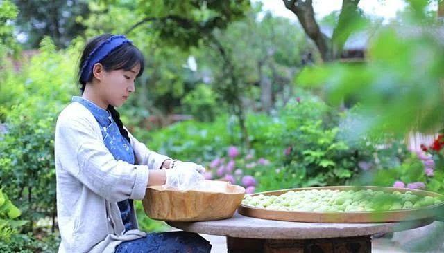 火到国外的李子柒究竟带去了什么日本网友竟是这么评价的