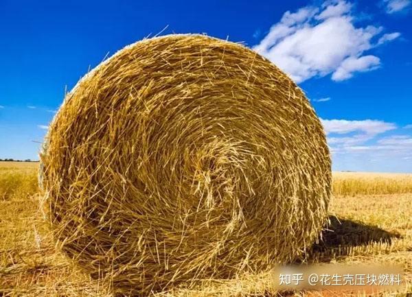 生物质是什么？ - 知乎