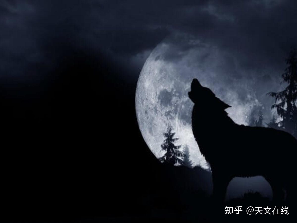 定好闹钟1月下旬的晚上来看狼月吧