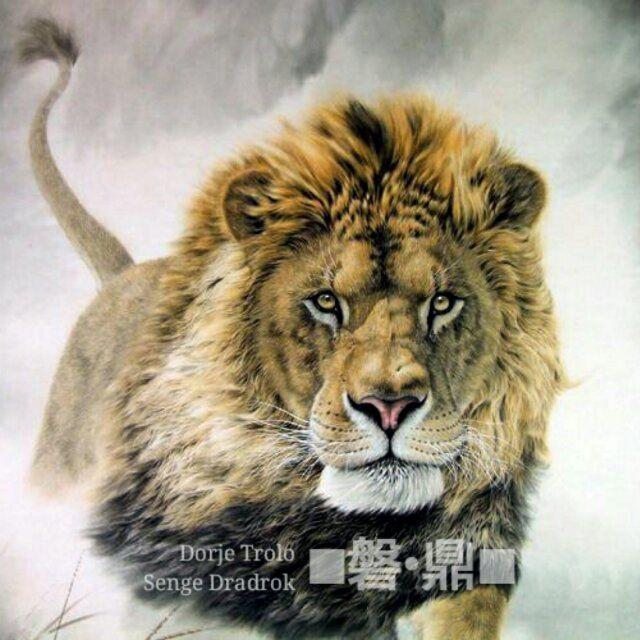 冯冯居士宇宙源起与静生虚空