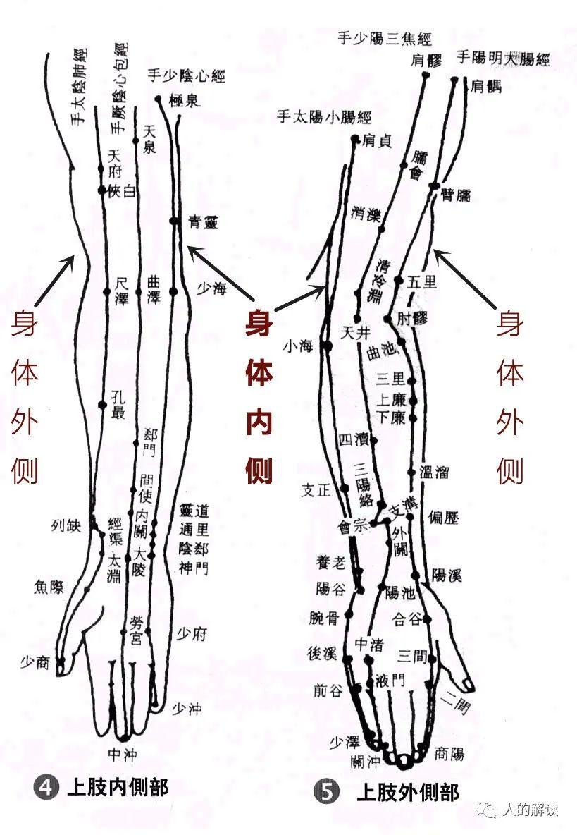 手部经络走向图片