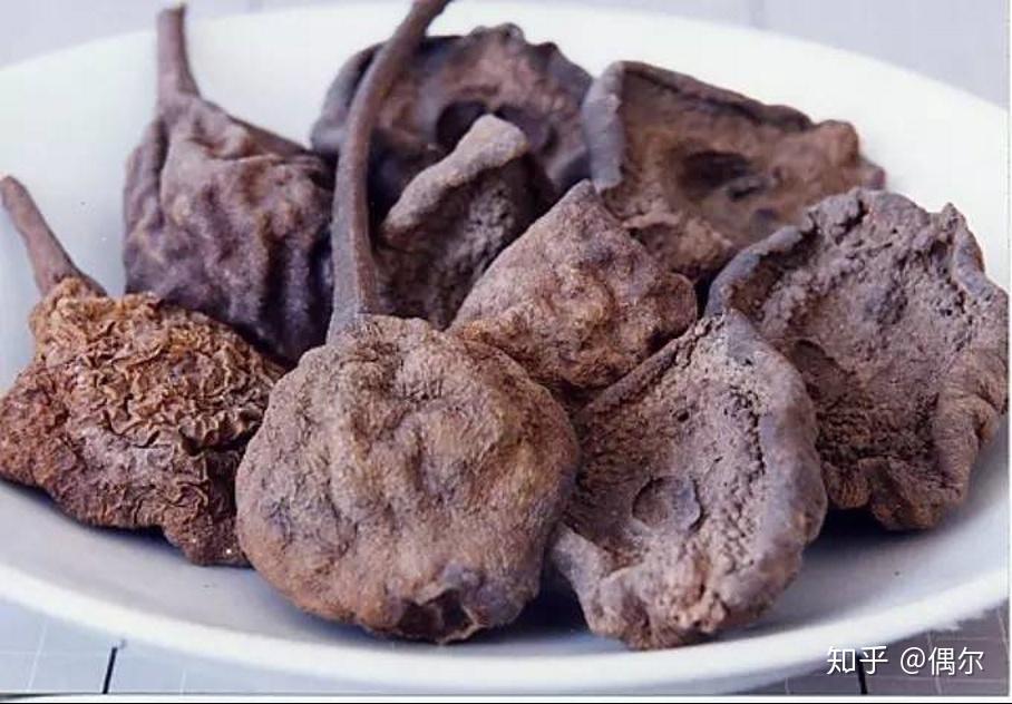 梨树的起源和在中国的分布 - 知乎