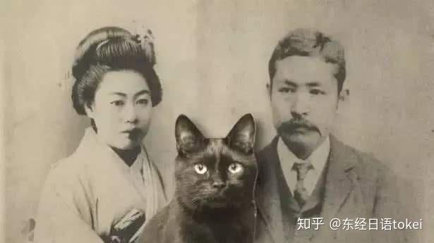 关于夏目漱石 我是猫 中的动物叙事 知乎