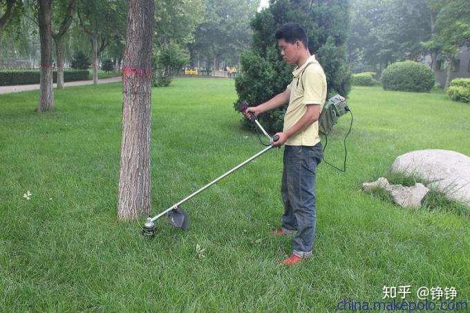 农村除草机推荐_除草剂 植保_家用割草机选购指南