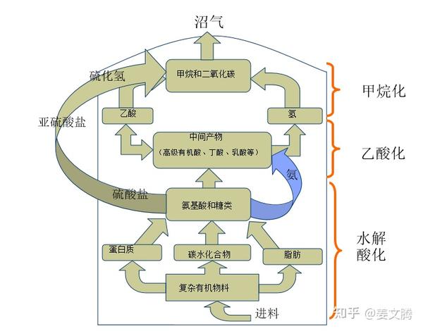 厌氧发酵原理 - 知乎