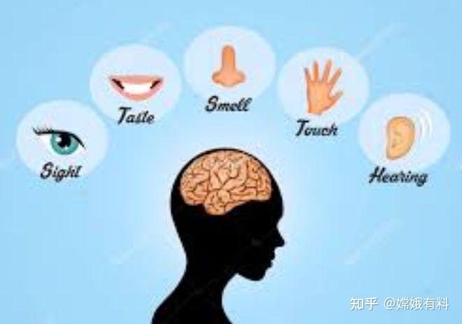 四种感官沟通风格,你是哪一类? - 知乎