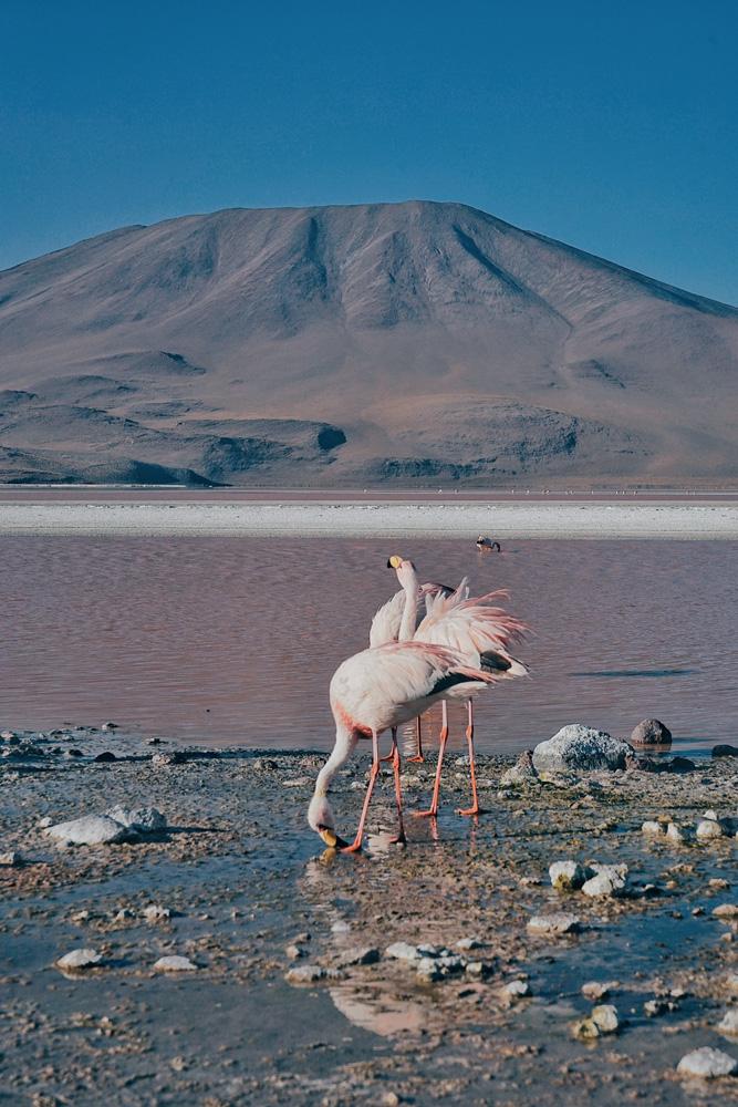 记忆中的风景玻利维亚三天两夜
