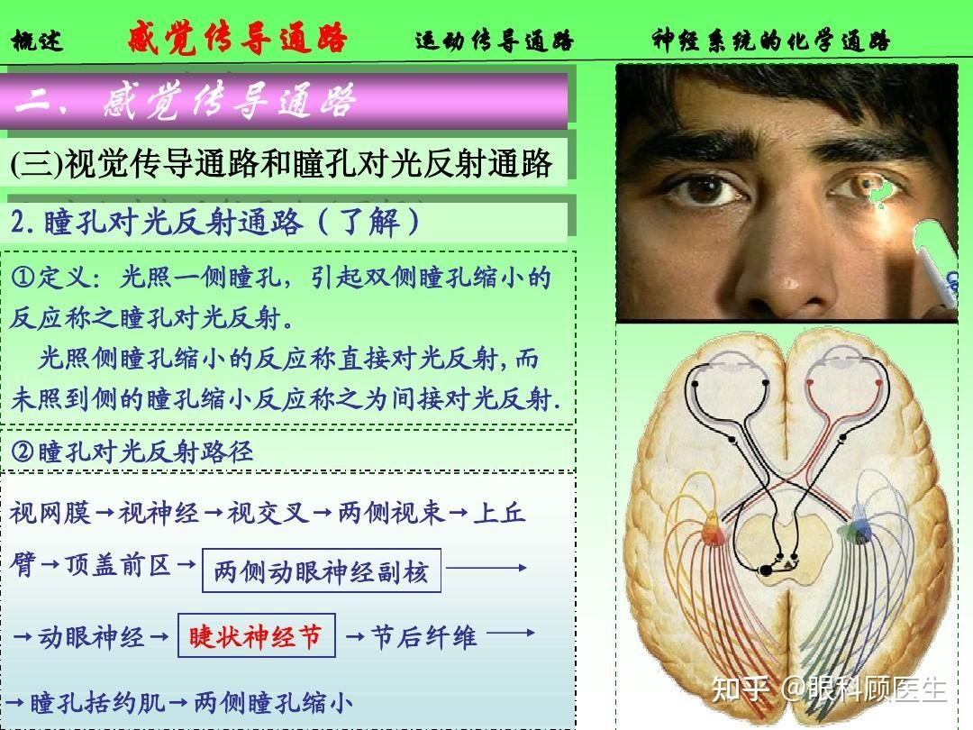 瞳孔的反射 - 知乎